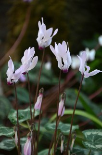 Иллюстрация 3