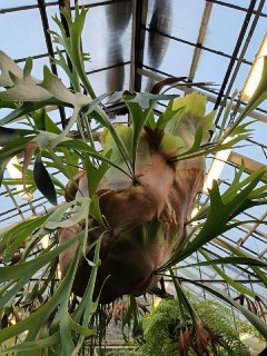 Иллюстрация 4