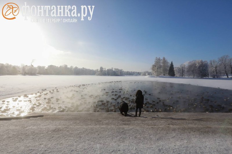 В Петербурге циклон