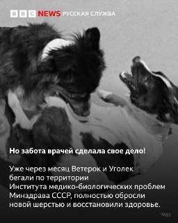 Иллюстрация 4