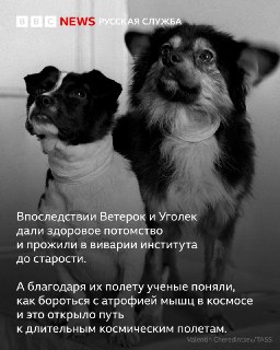 Иллюстрация 5