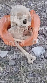 Иллюстрация 3