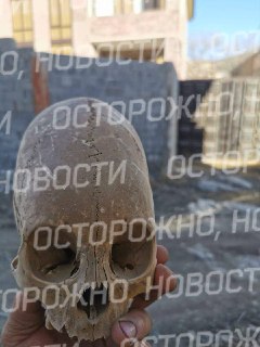 Иллюстрация 1