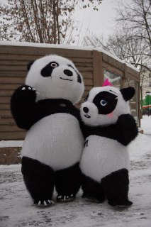 Иллюстрация 4