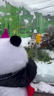 Иллюстрация 2