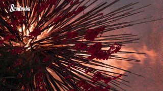 Масленичный фестиваль в «Никола-Ленивце»