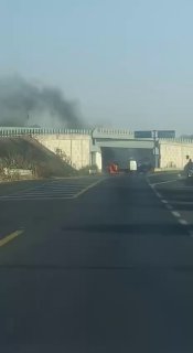 Иллюстрация 5