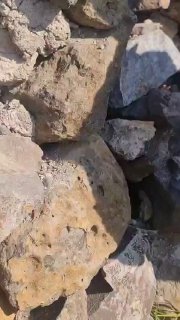 Столкновения в Мексике