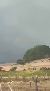 Иллюстрация 4