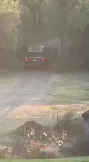 Иллюстрация 5