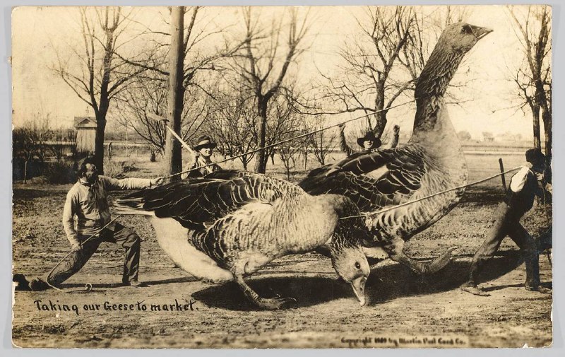 Иллюстрация 4