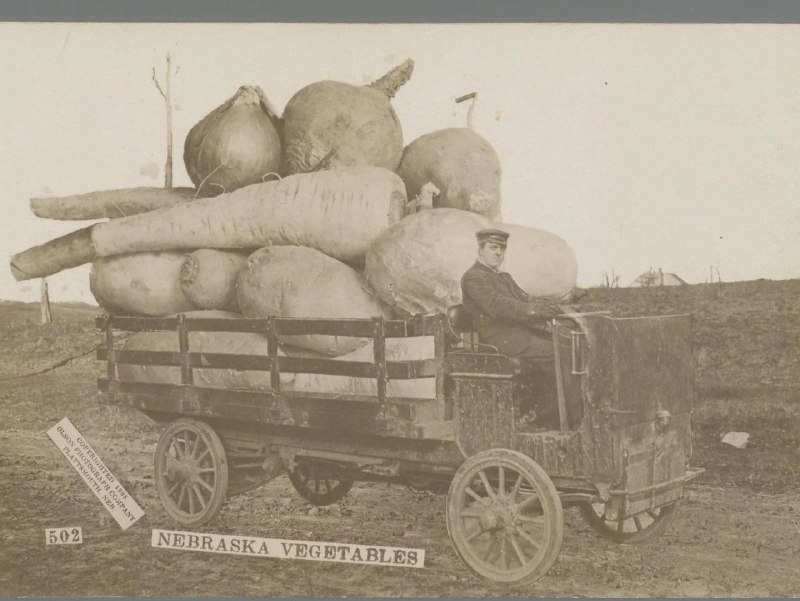 Иллюстрация 5