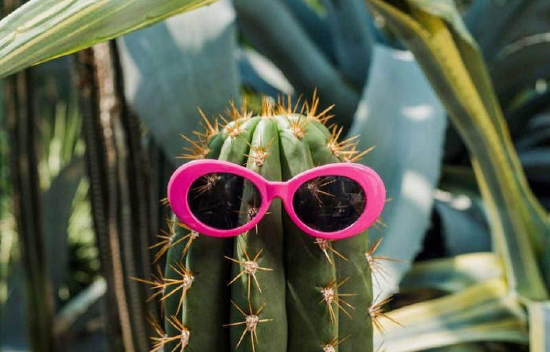 В России появятся «растения-иноагенты»