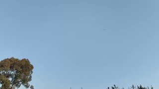 Иллюстрация 2