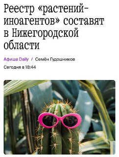 В Нижегородской области предложили ввести реестр 