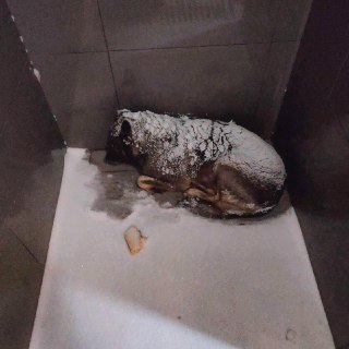 Бойкот «Додо Пиццы» из-за увольнения сотрудника