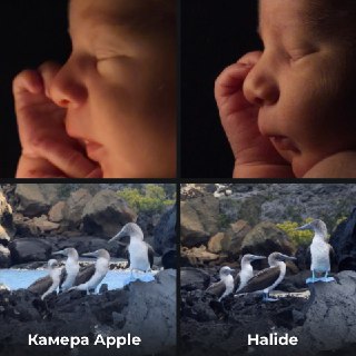 Иллюстрация 2