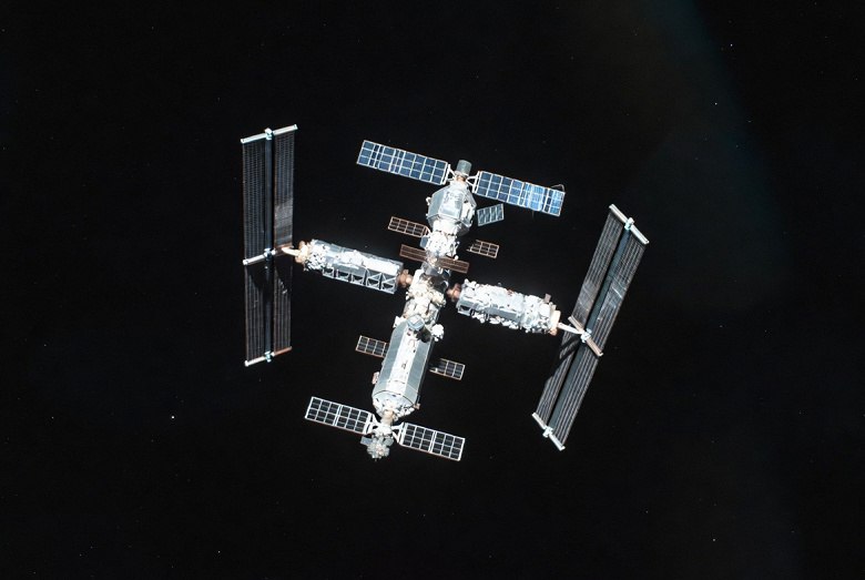 Мышей могут отправить на Российскую орбитальную станцию для экспериментов