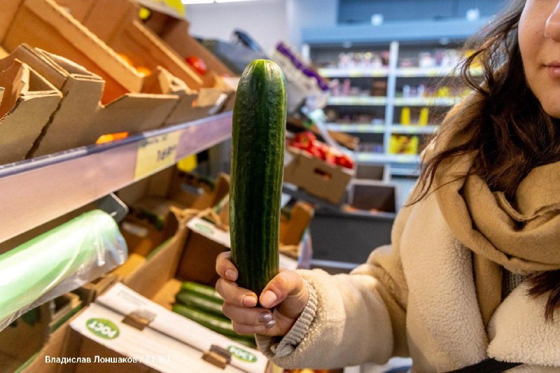 Наценка на огурцы в Петербурге достигает 300%