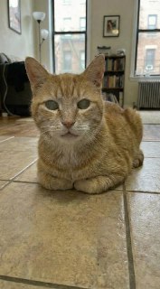 Иллюстрация 2