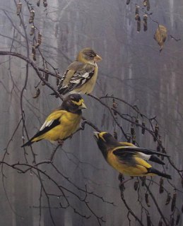 Иллюстрация 3