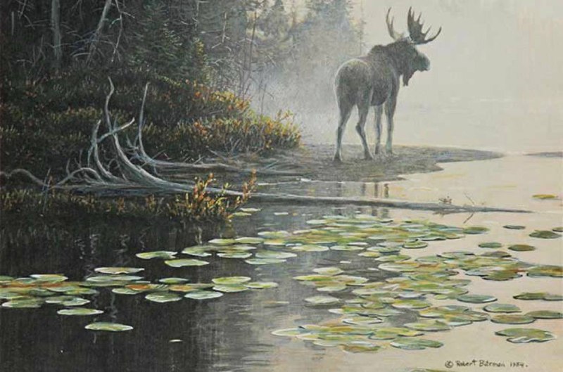 Иллюстрация 4