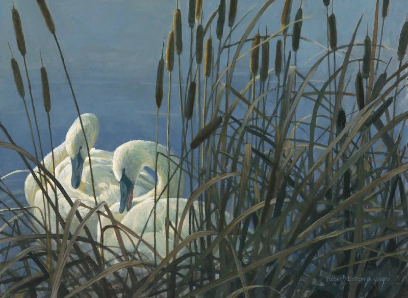 Иллюстрация 6