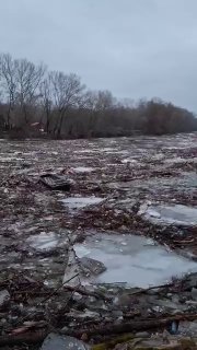 Загрязнение реки Тиса мусором с Украины