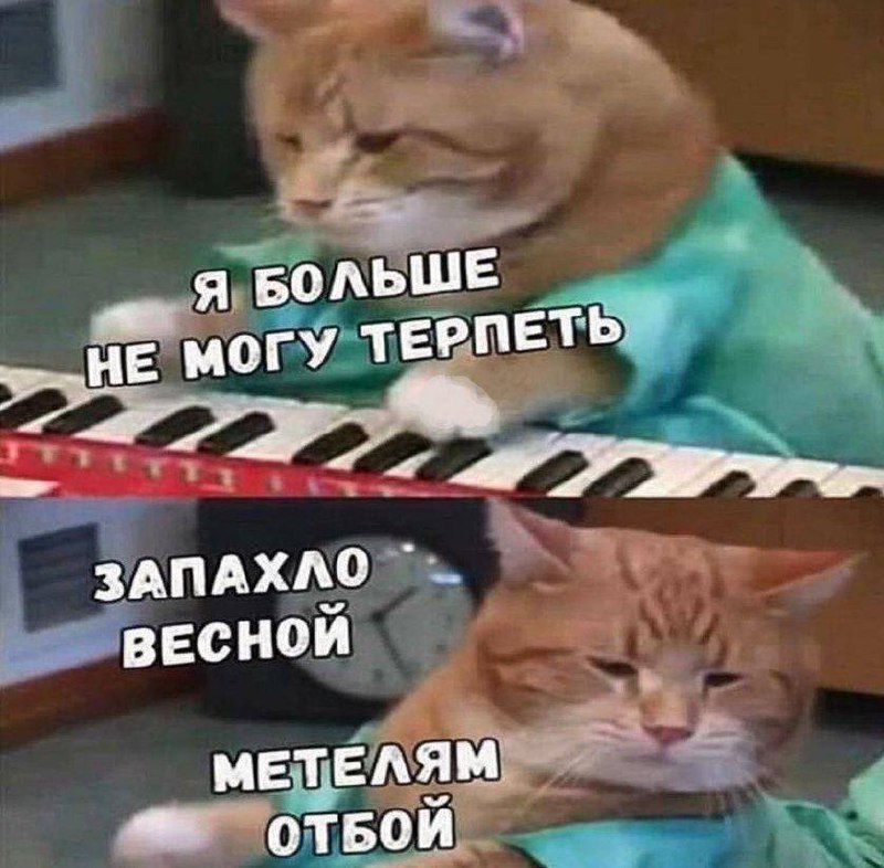 Метеорологическая весна в Москве