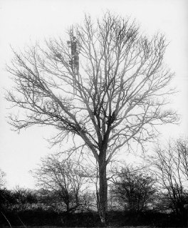 Иллюстрация 4