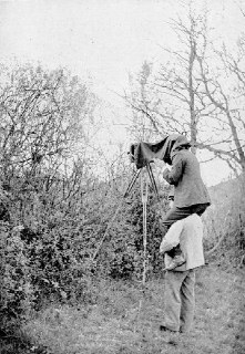 Иллюстрация 1