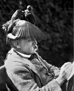 Иллюстрация 5