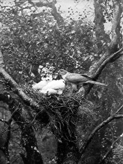 Иллюстрация 6