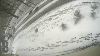 Иллюстрация 1