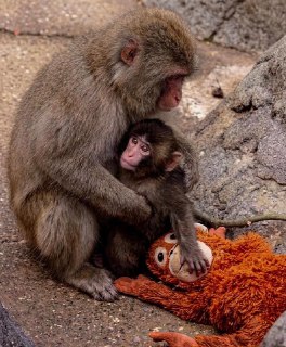 Иллюстрация 2