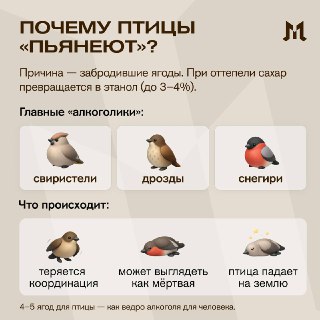 Иллюстрация 2