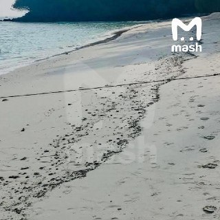 Иллюстрация 2