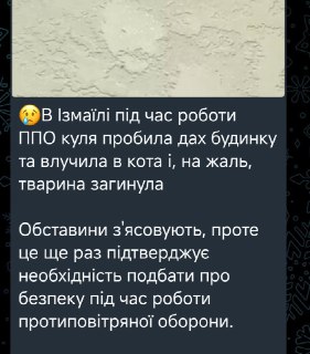 Снаряд ПВО убил кота в Измаиле