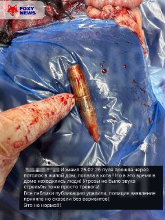 Иллюстрация 2