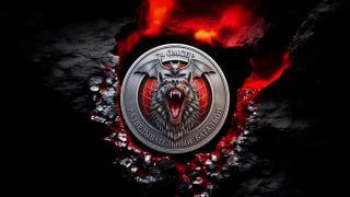 Боевая работа дронов бригады Бешеные псы