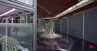 Создан «живой» строительный материал, поглощающий CO₂