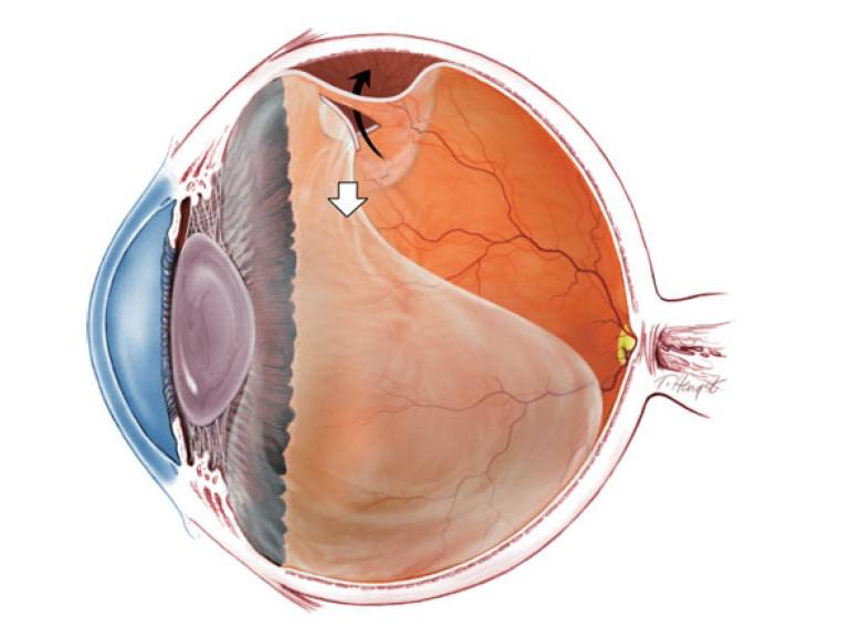 Иллюстрация 2