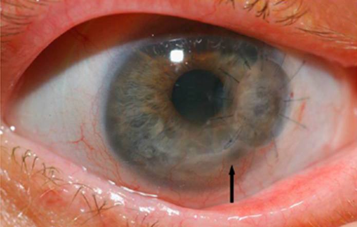 Иллюстрация 3