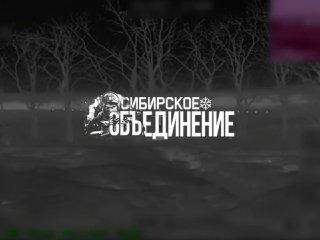 Удары FPV-дронов по позициям ВСУ
