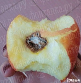 Жалобы на питание в петербургском лицее