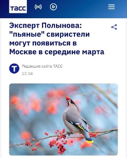 В Москве ожидают нашествие 