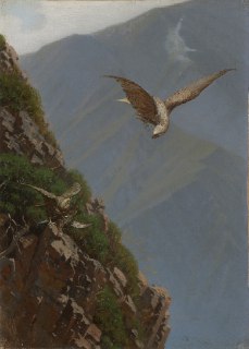 Этюд Верещагина с соколами чеглоками