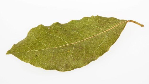 Возобновление торговли между Россией и США