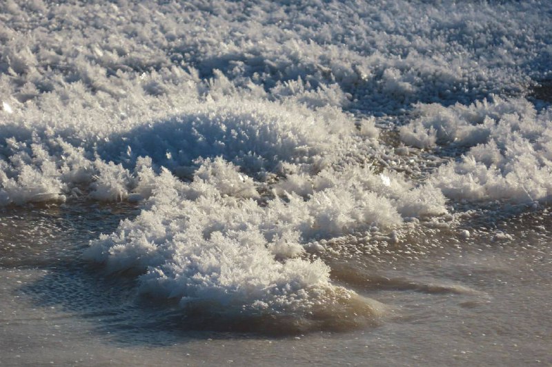 Ледяные цветы в Монрепо