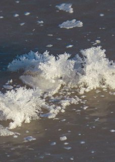 Иллюстрация 2